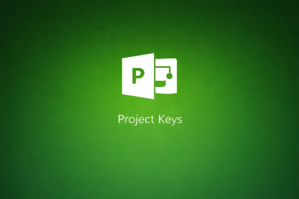 Microsoft Project 2016 Professional License Key [Instant Delivery] - Microsoft | Buy at Hermanos