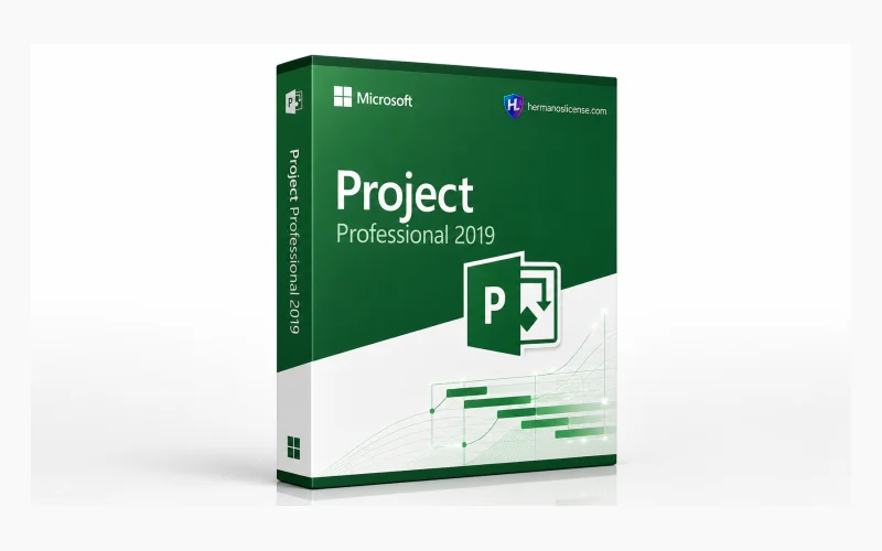 Microsoft Project 2019 Professional Key — Lifetime License product image