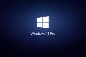 Windows 11 Pro Key [Lifetime Retail License] | Instant Delivery license key product image