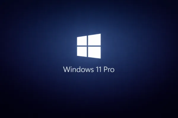 Windows 11 Pro Key [Lifetime Retail License] | Instant Delivery license key product image