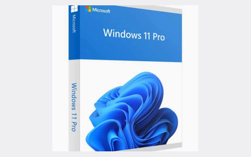 Windows 11 Pro OEM Key for 1 PC product image